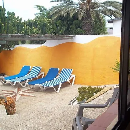 Hartystik Teguise (Lanzarote)
