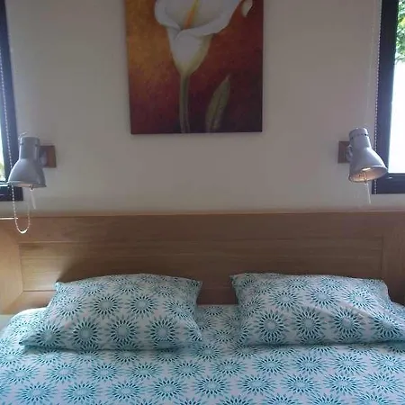 Hartystik Vila Teguise (Lanzarote)
